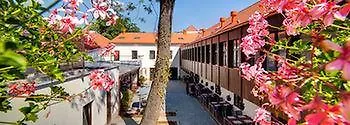 Hotel Restaurant Darwin Prague Czech Republic